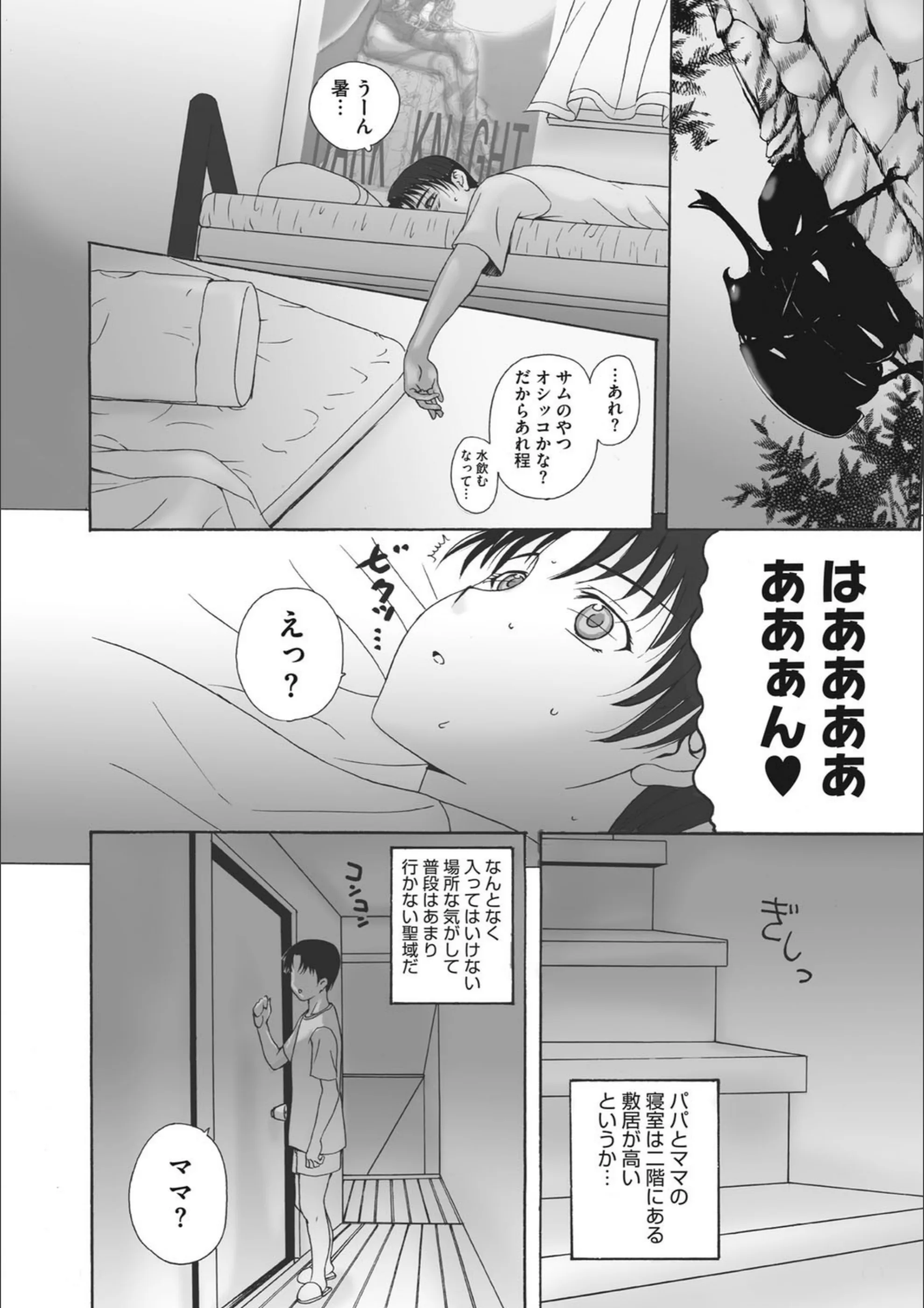 サンプル 6