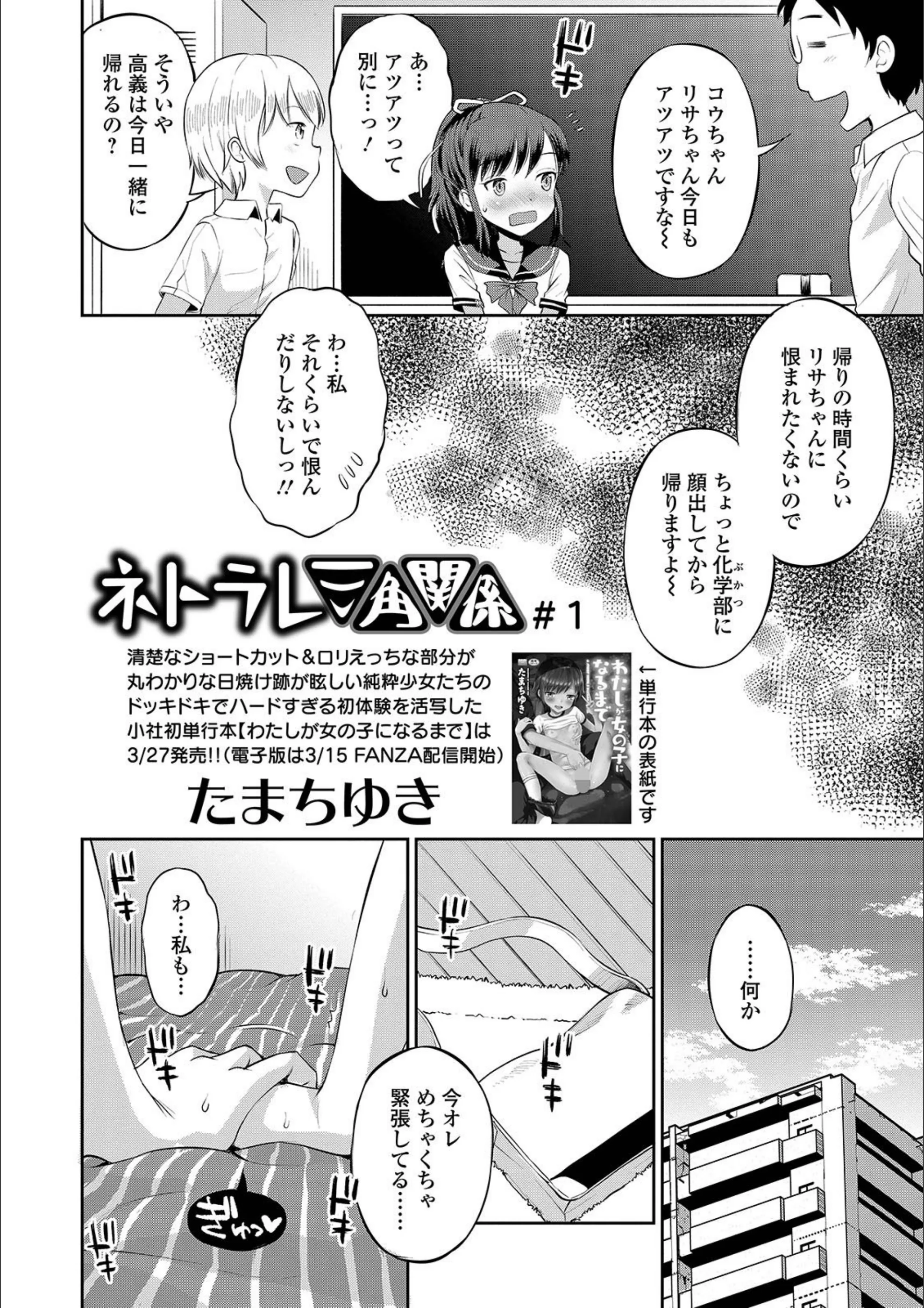サンプル 4