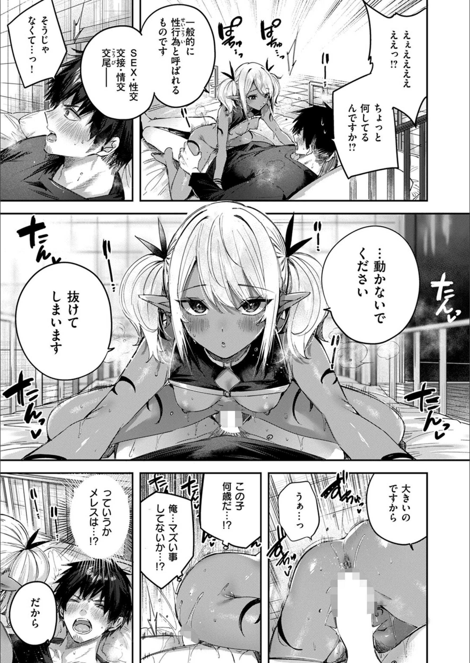 サンプル 13