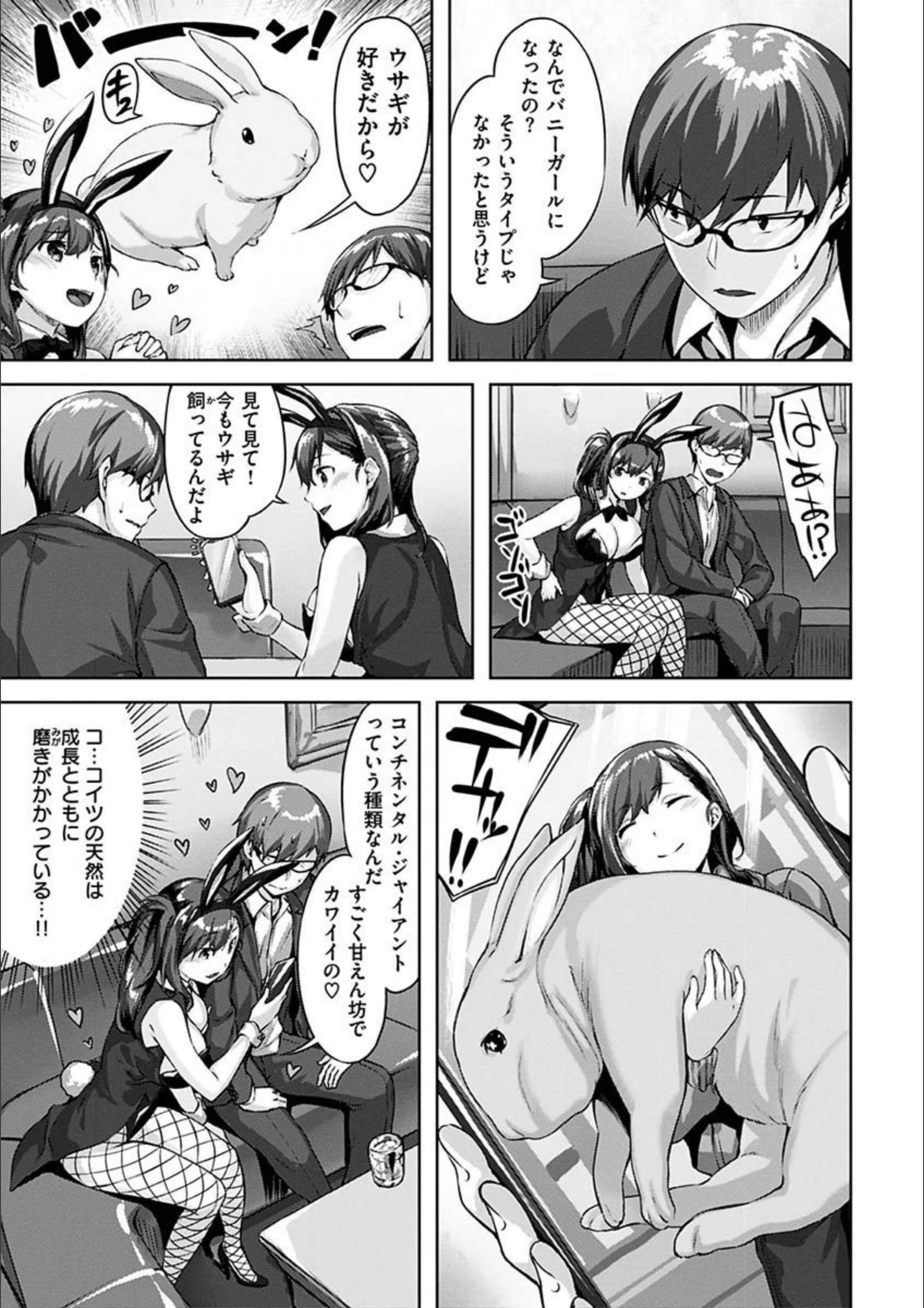 サンプル 15