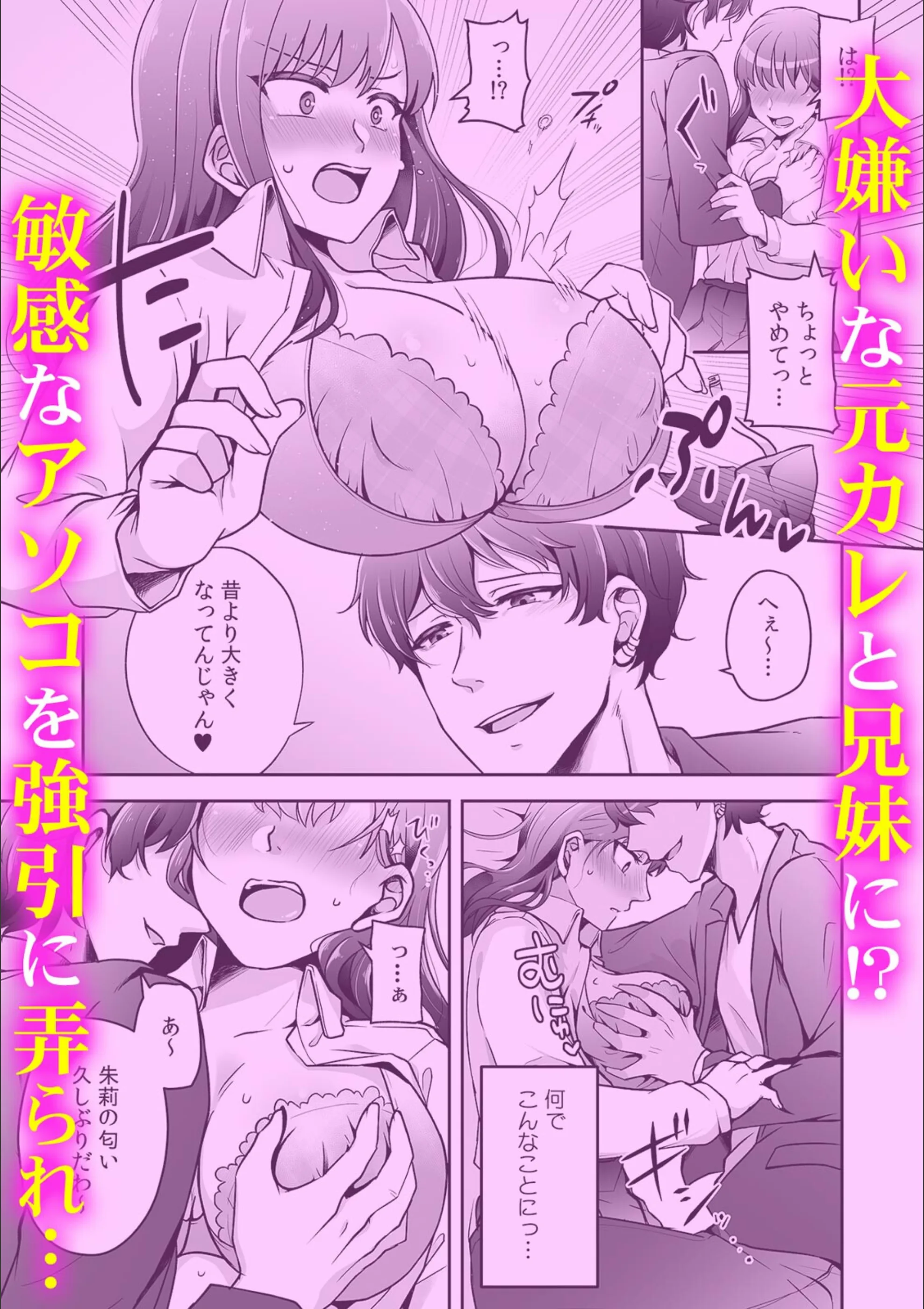 サンプル 5