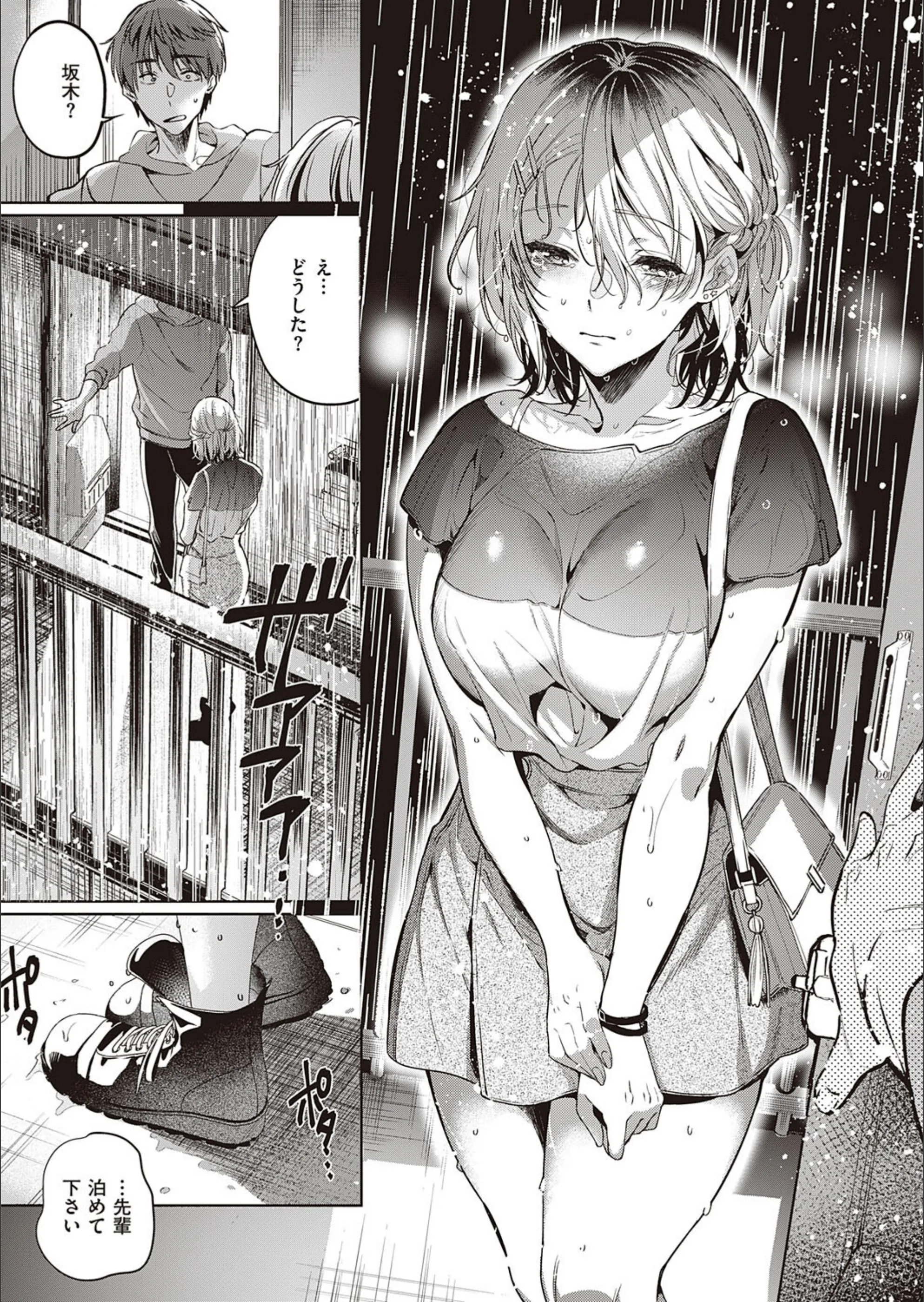 サンプル 5