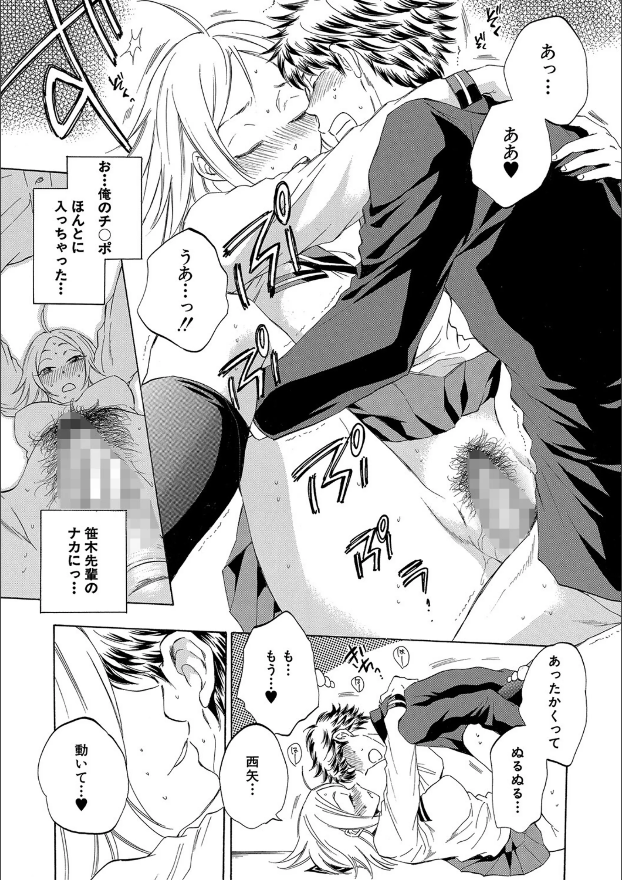 サンプル 26