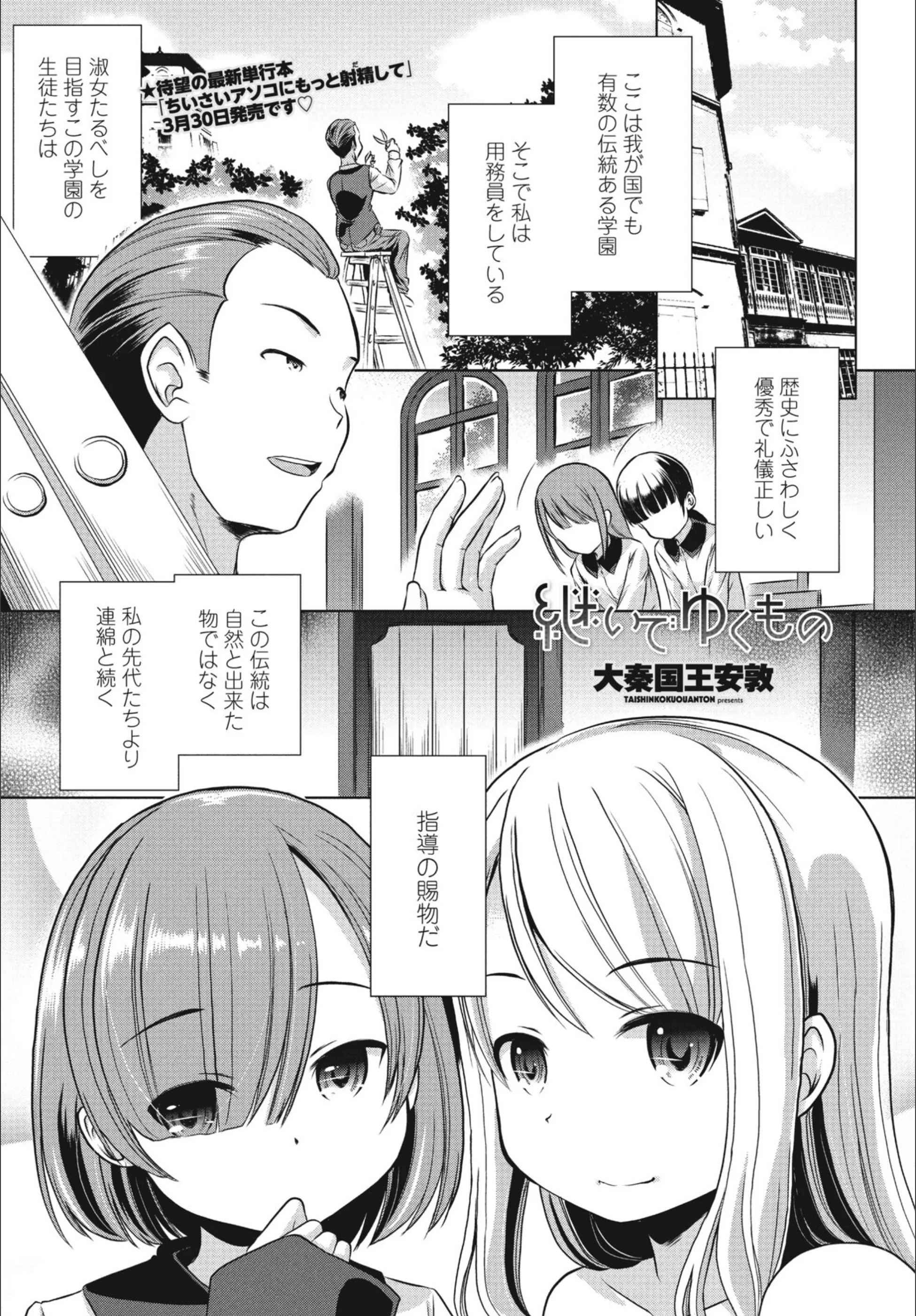 サンプル 13
