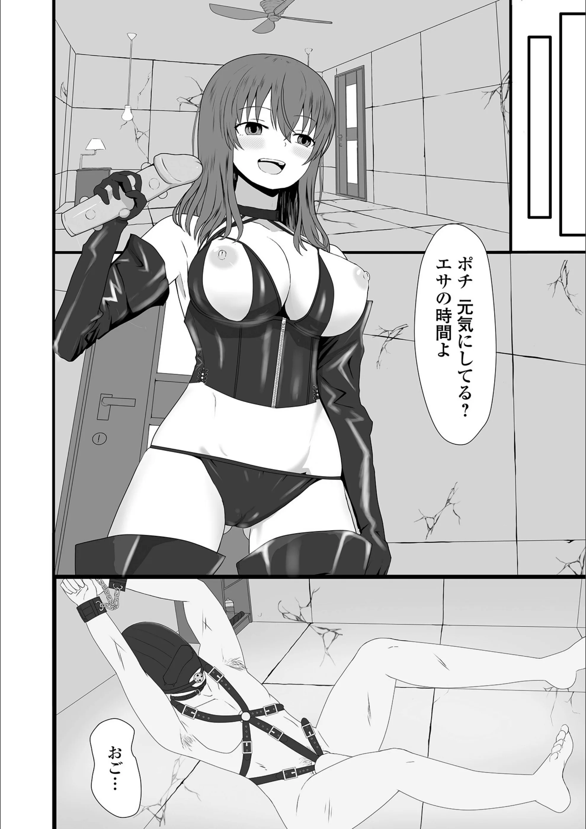 サンプル 17