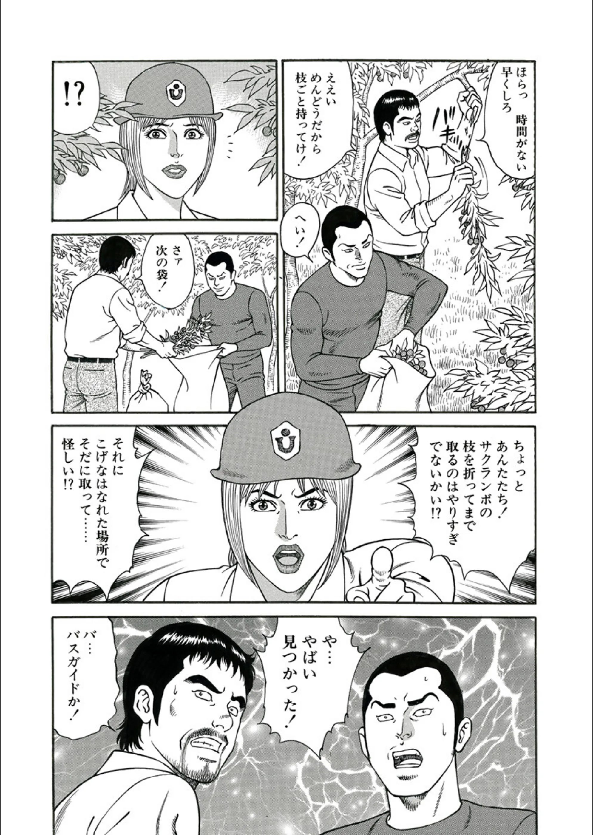 サンプル 8