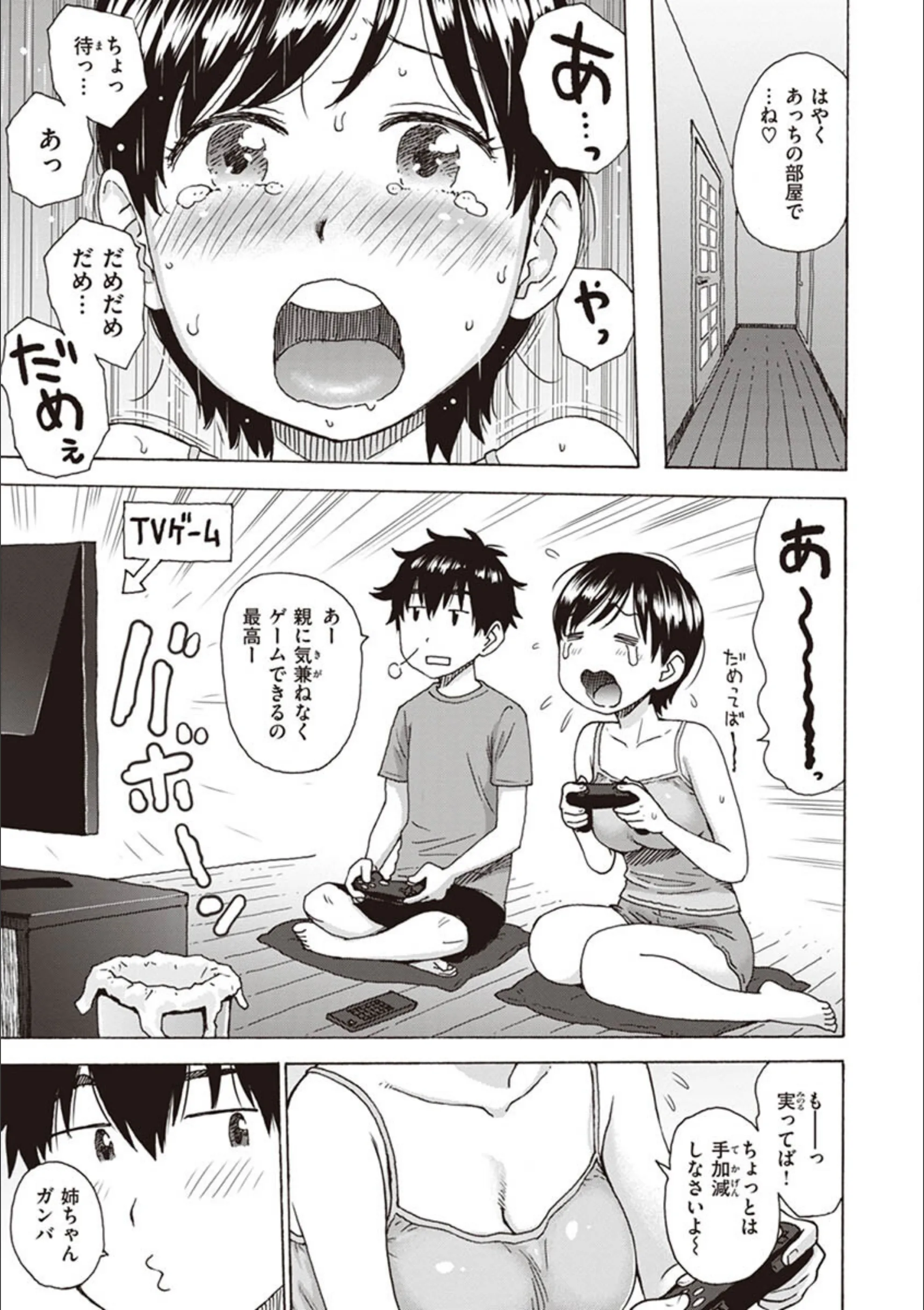 サンプル 29