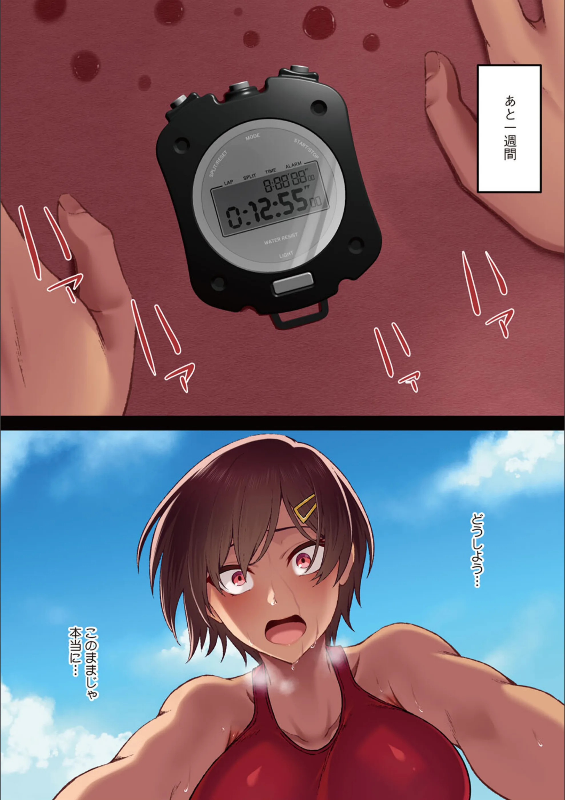 サンプル 8