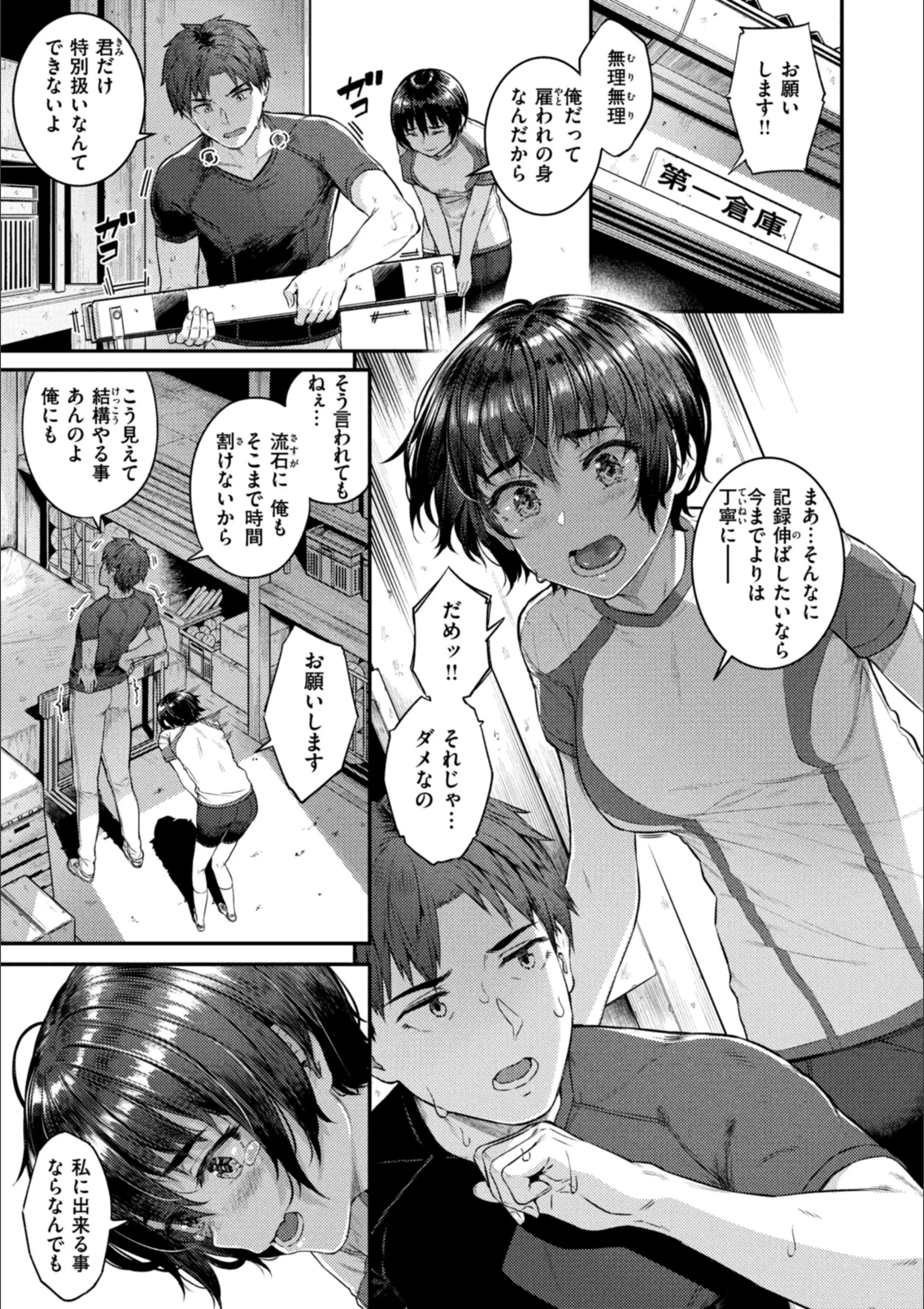 サンプル 17