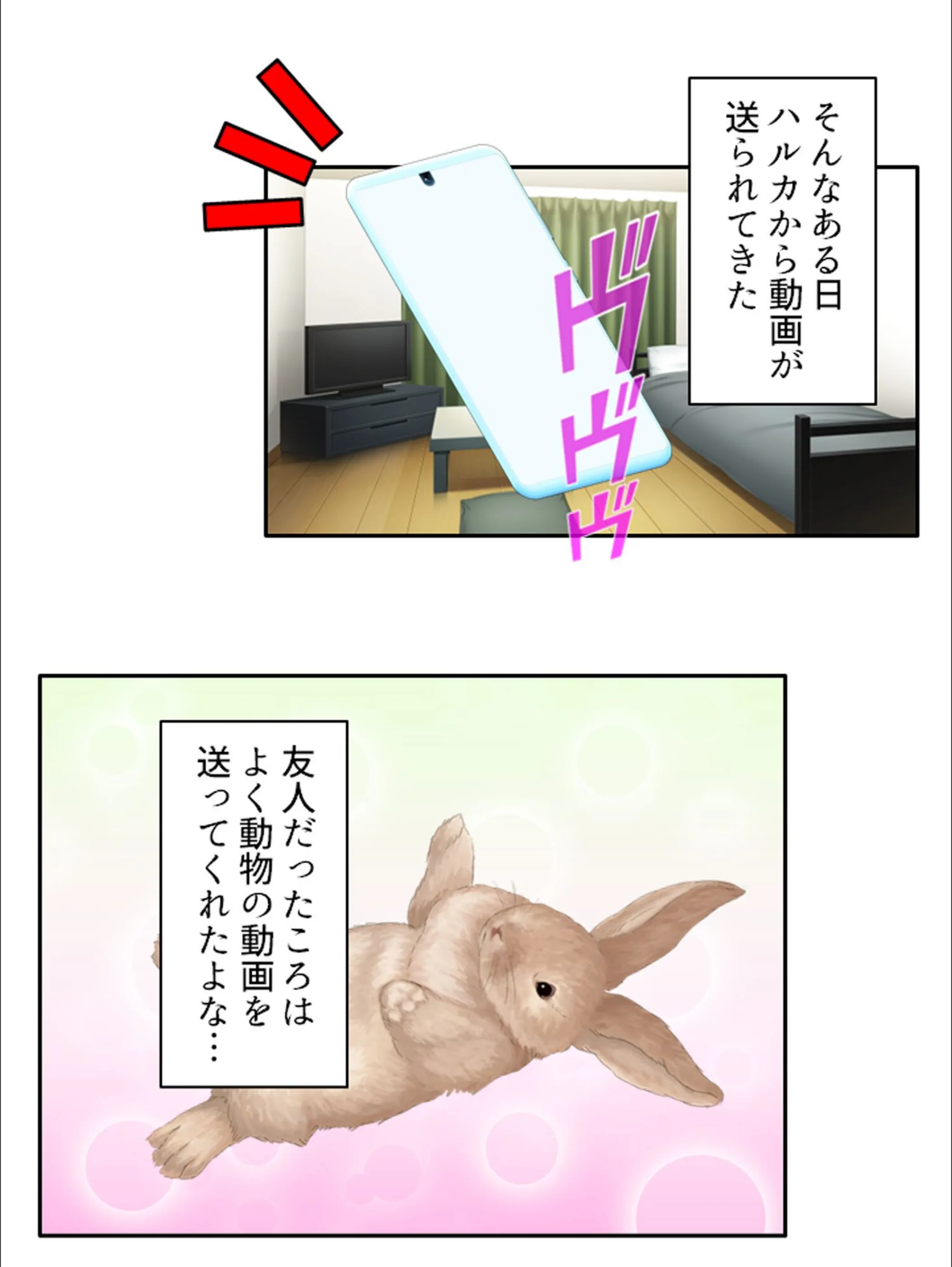 サンプル 5
