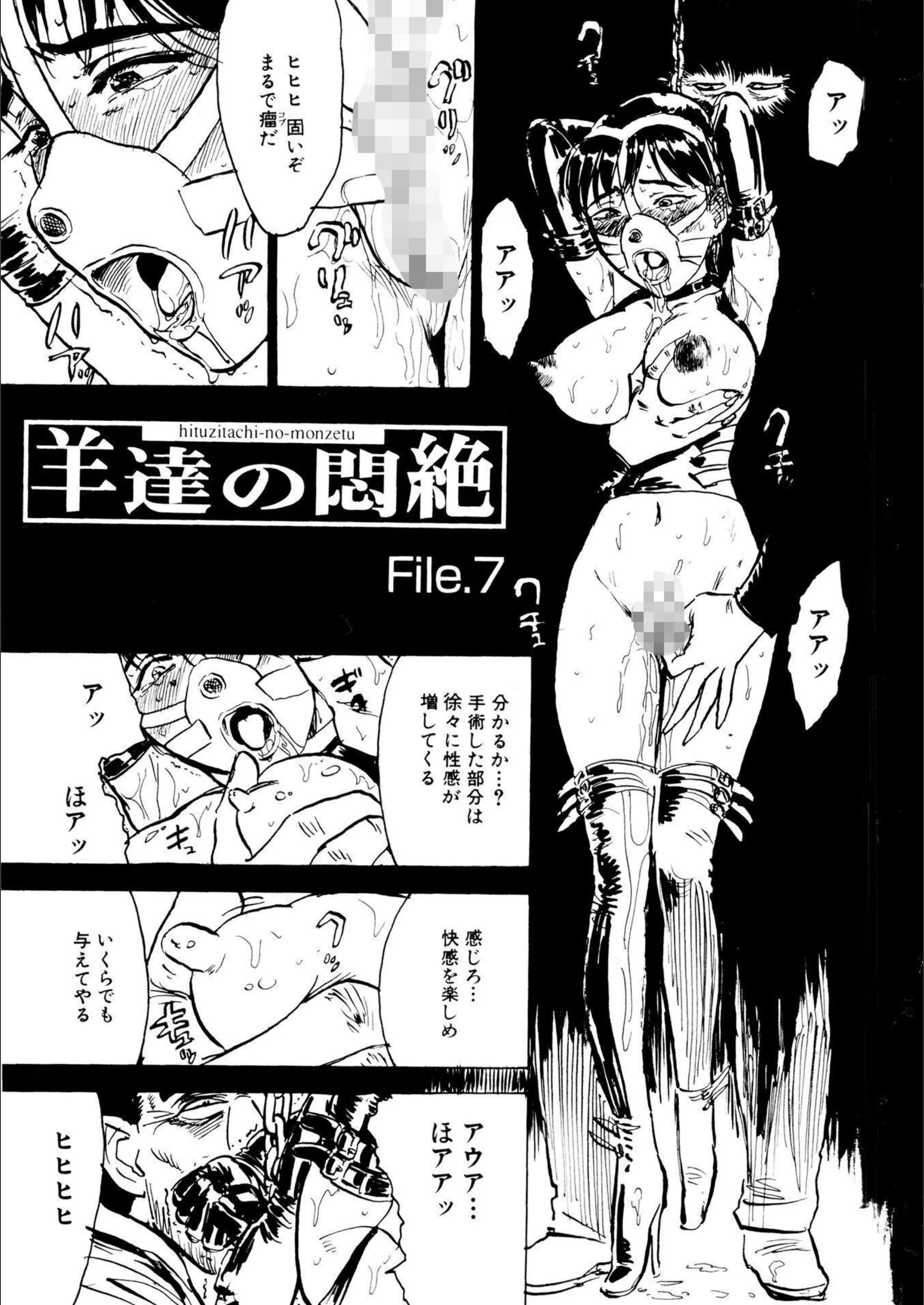 サンプル 5