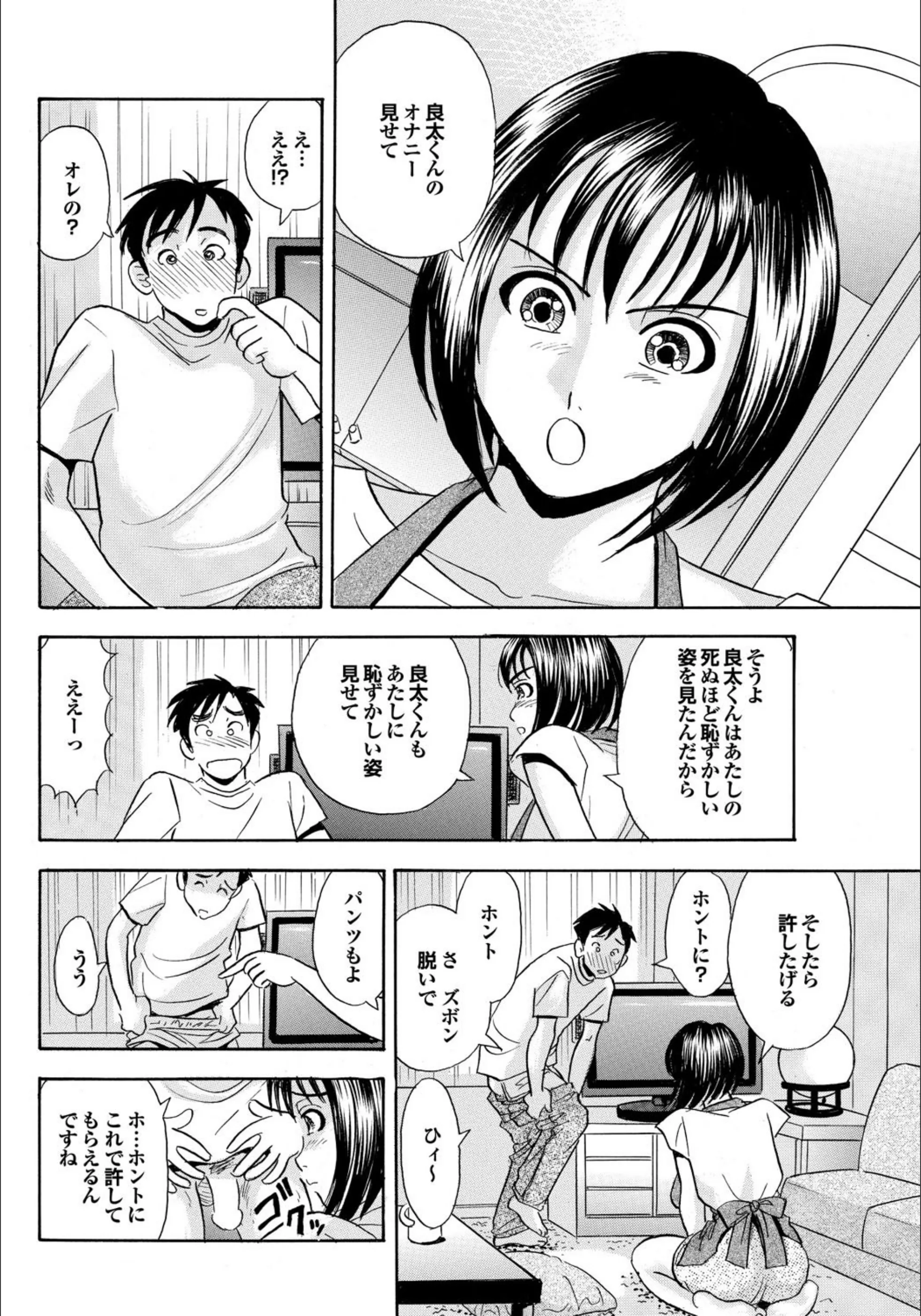 サンプル 5