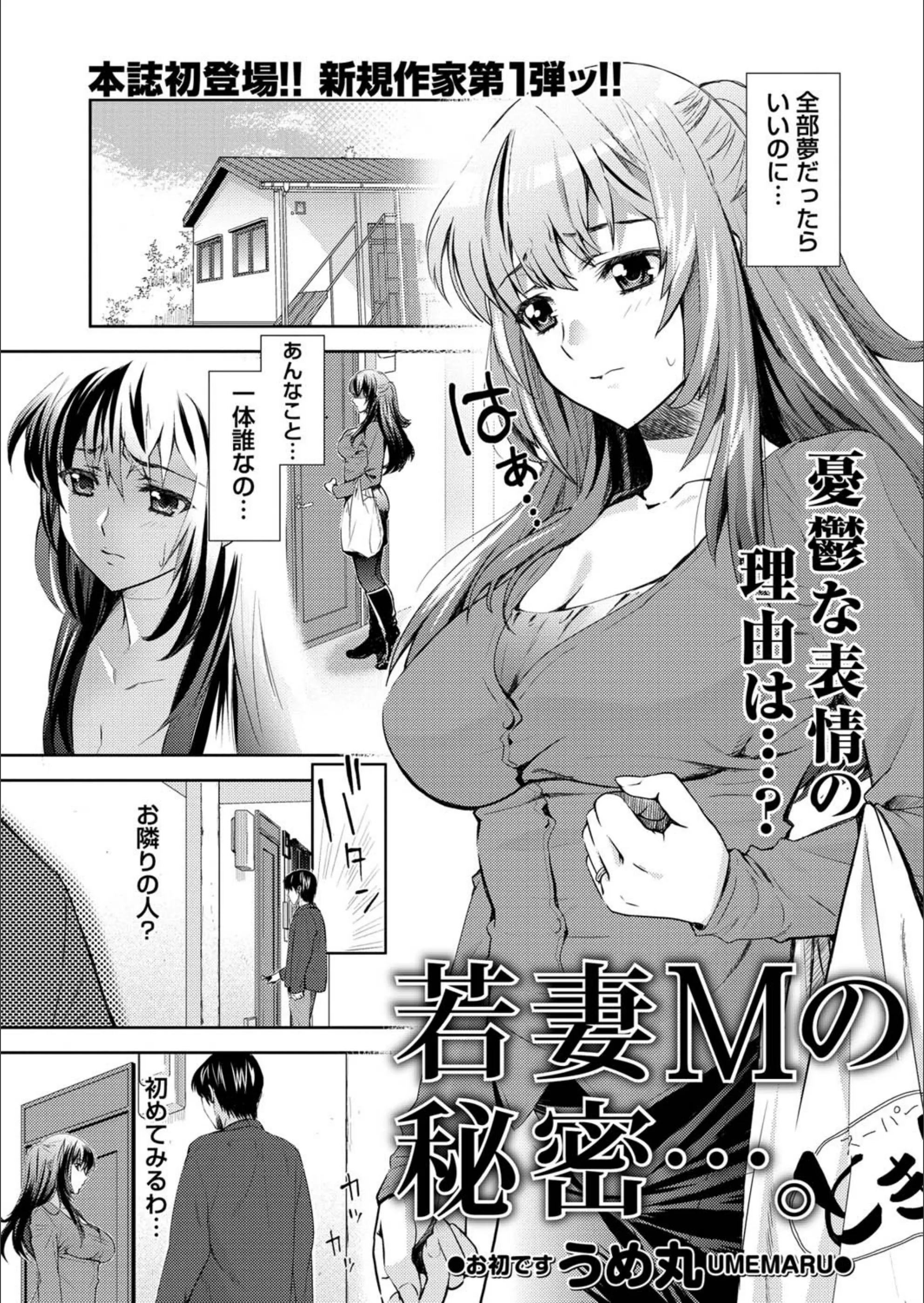 サンプル 1