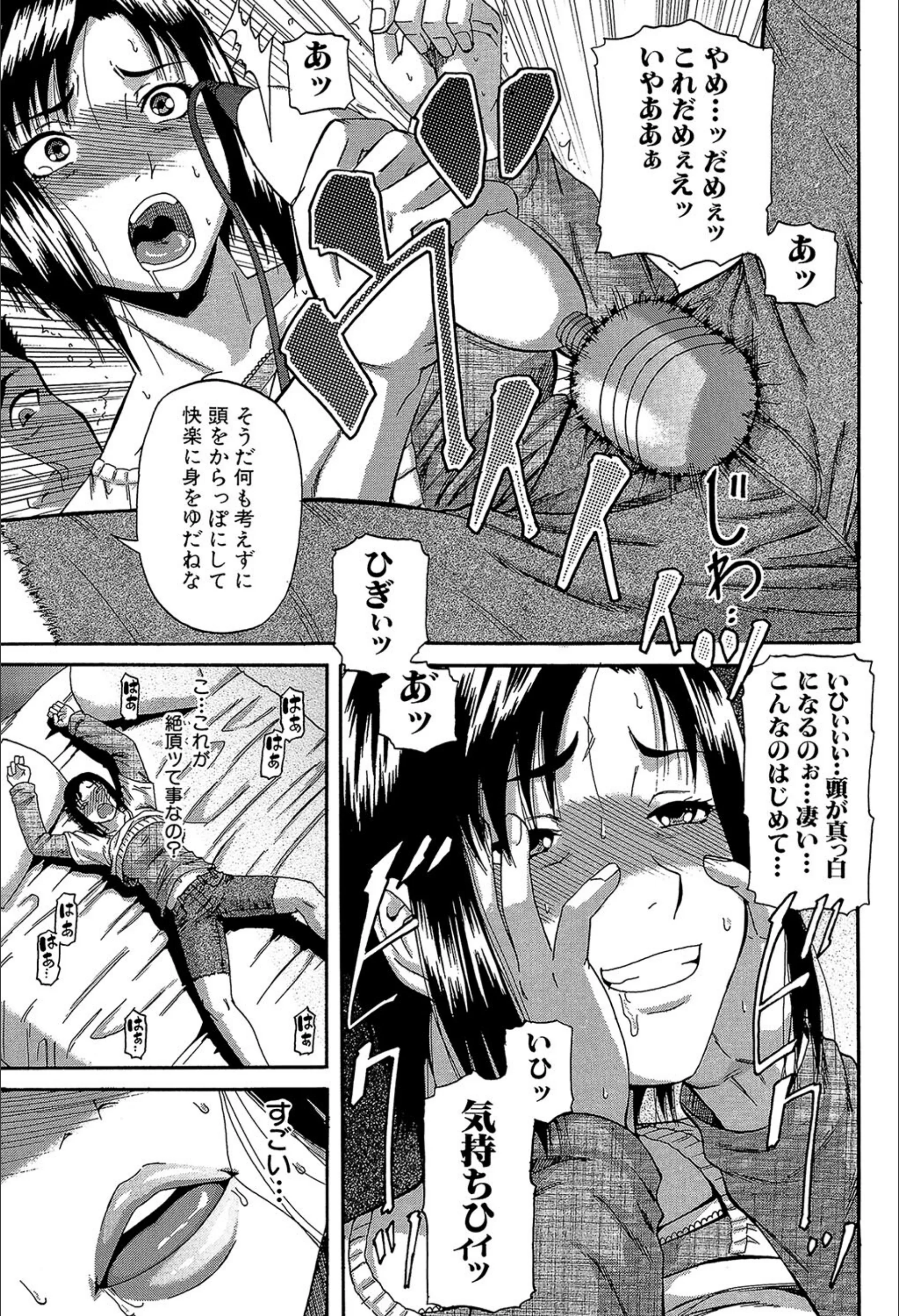 サンプル 17