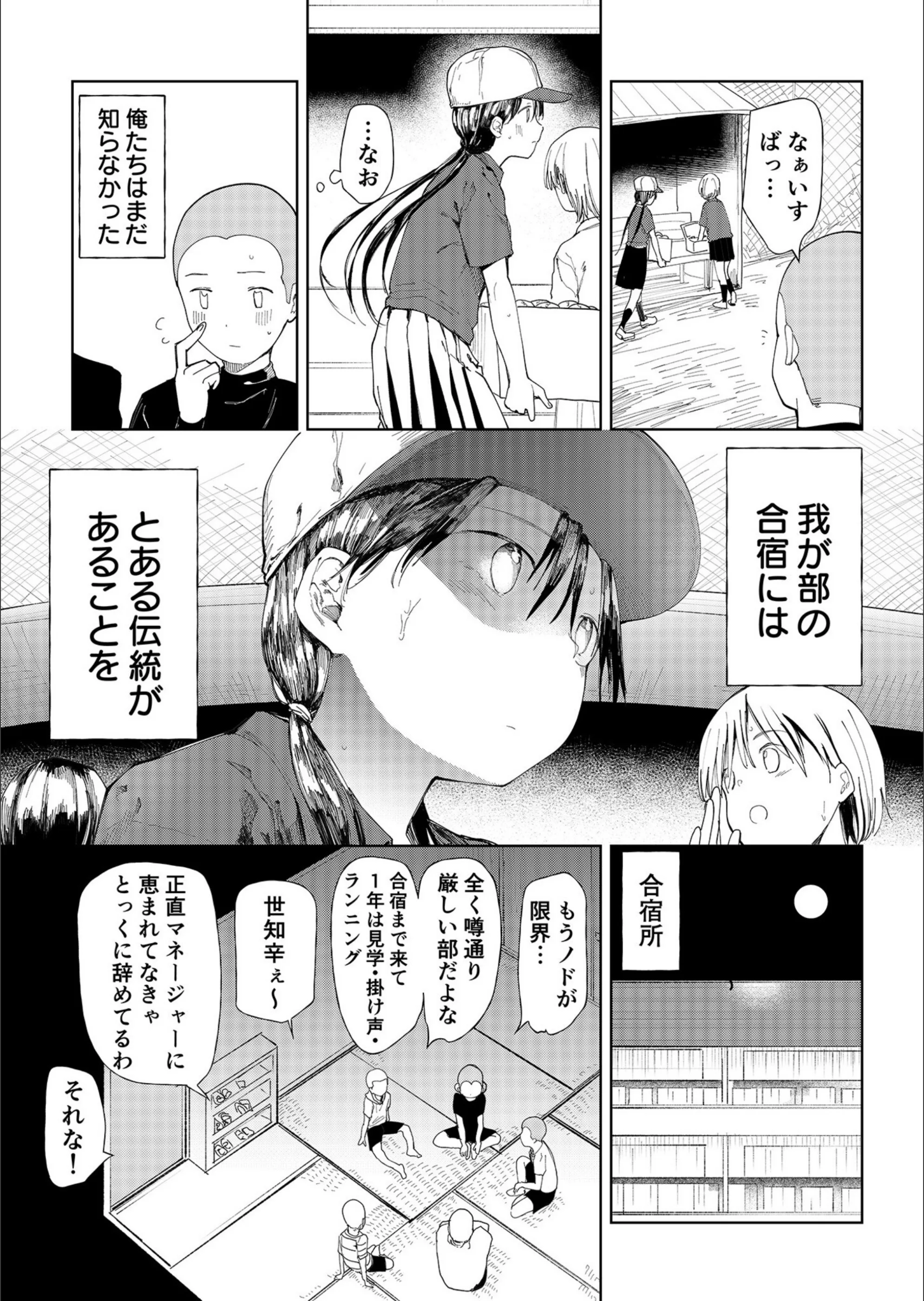サンプル 5