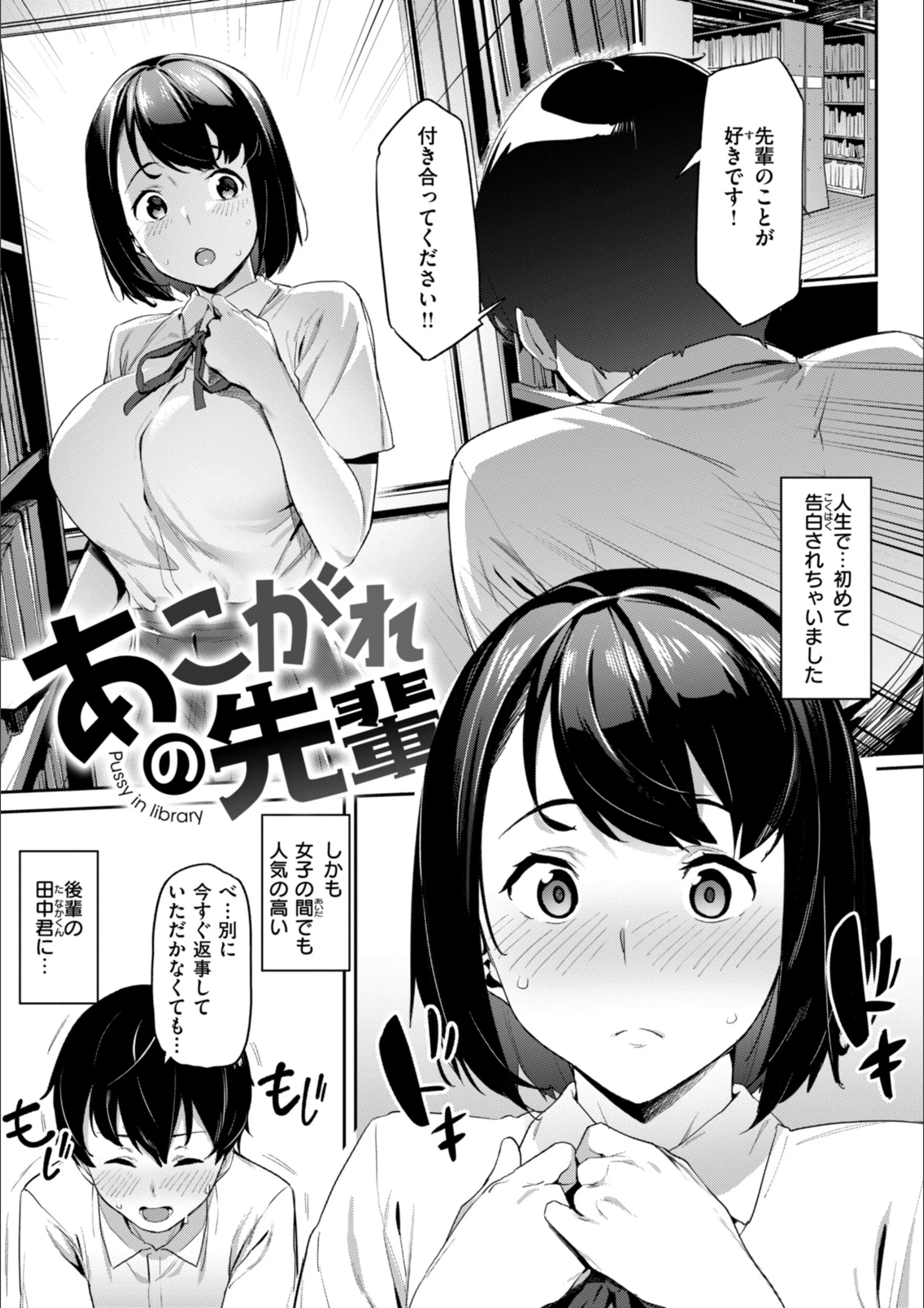 サンプル 33