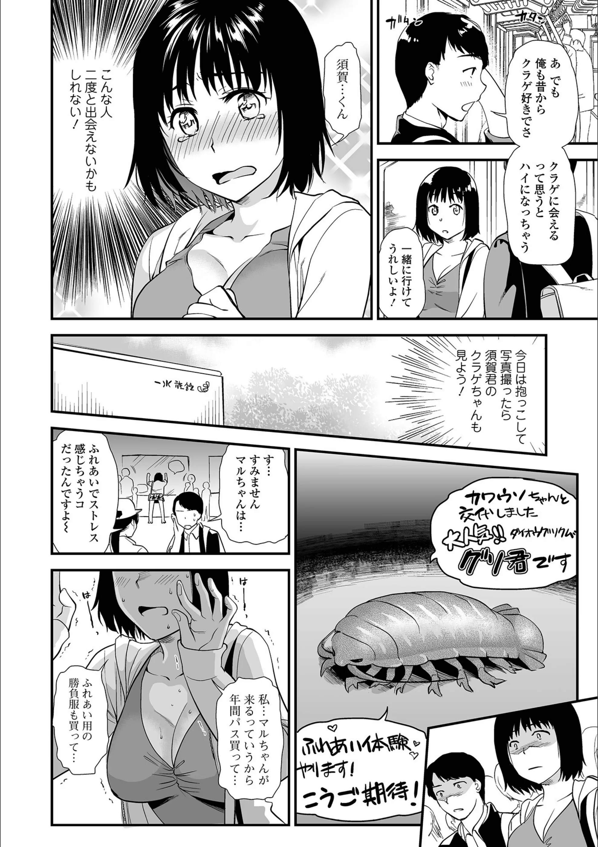 サンプル 26