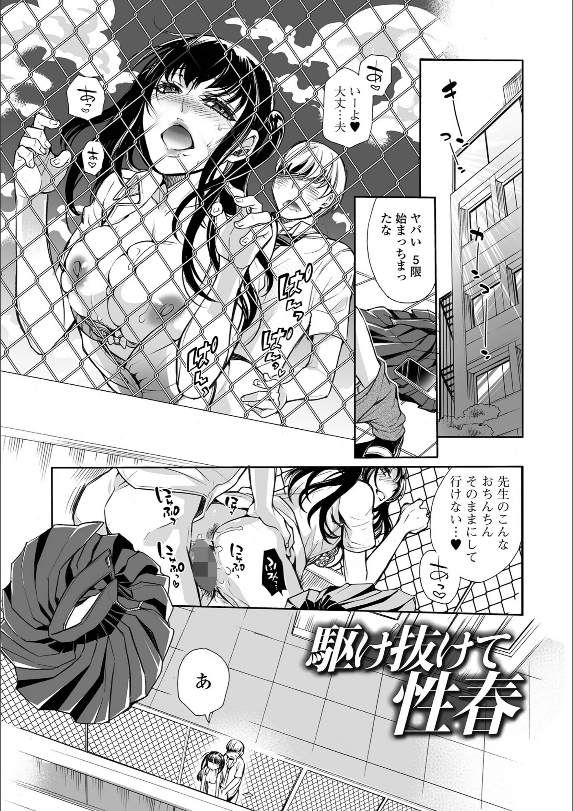 サンプル 19