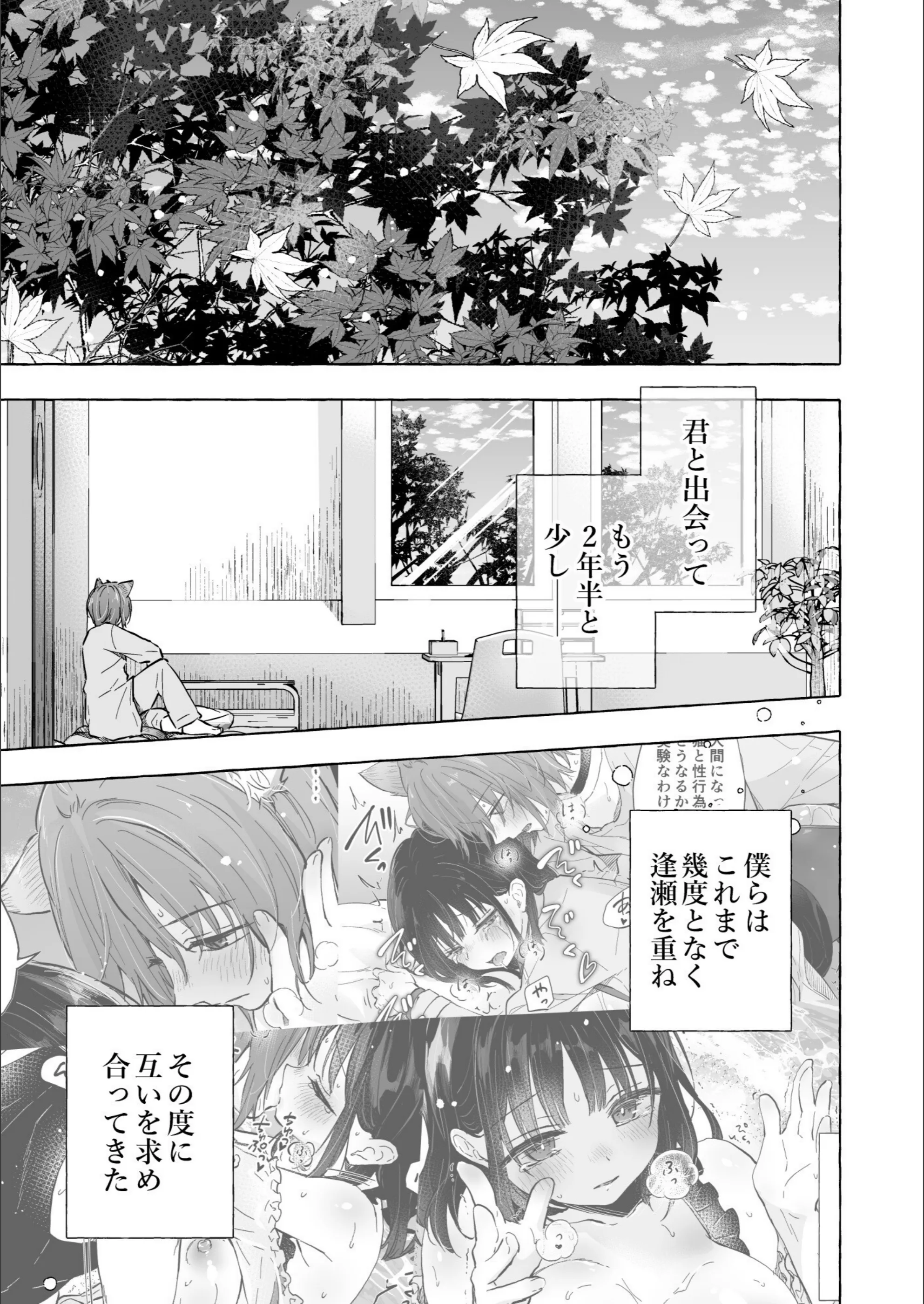 サンプル 5