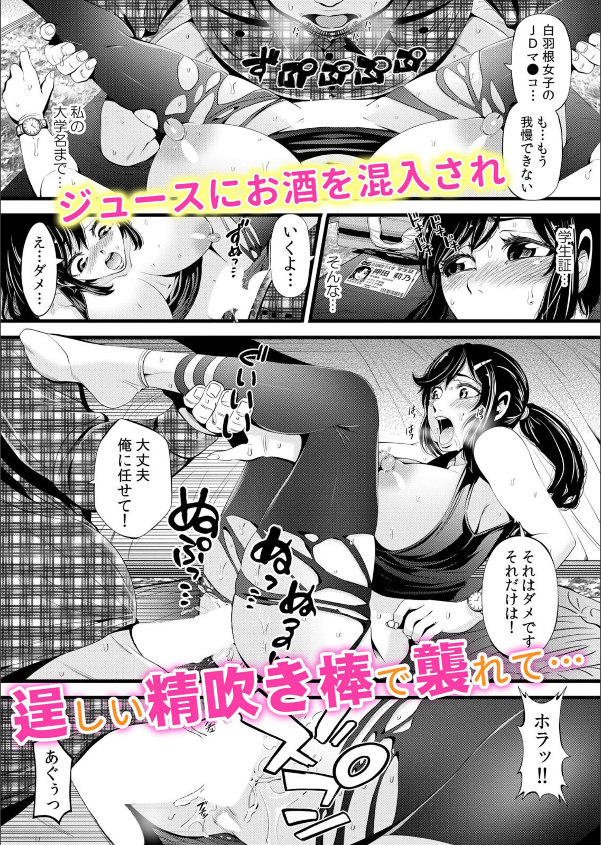 サンプル 5