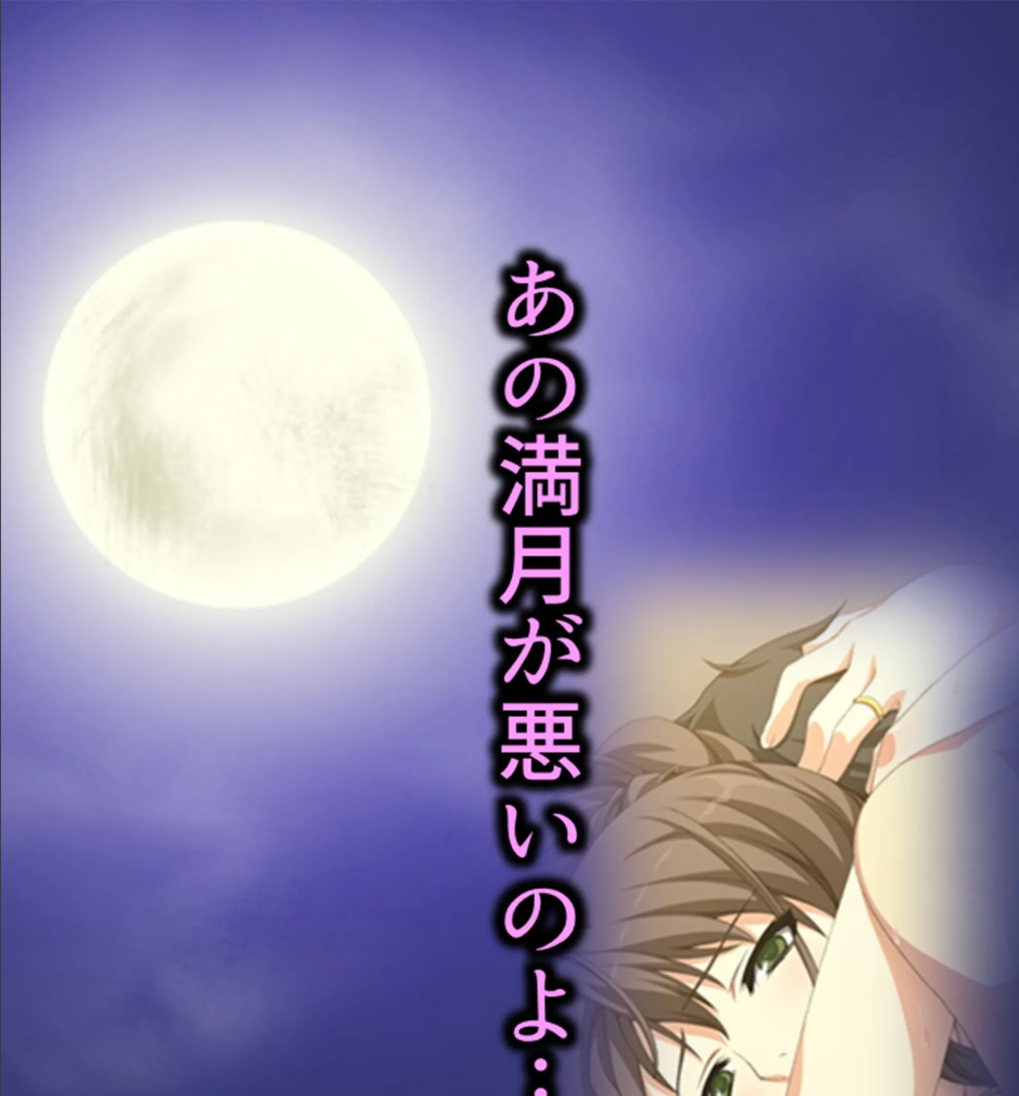 サンプル 7