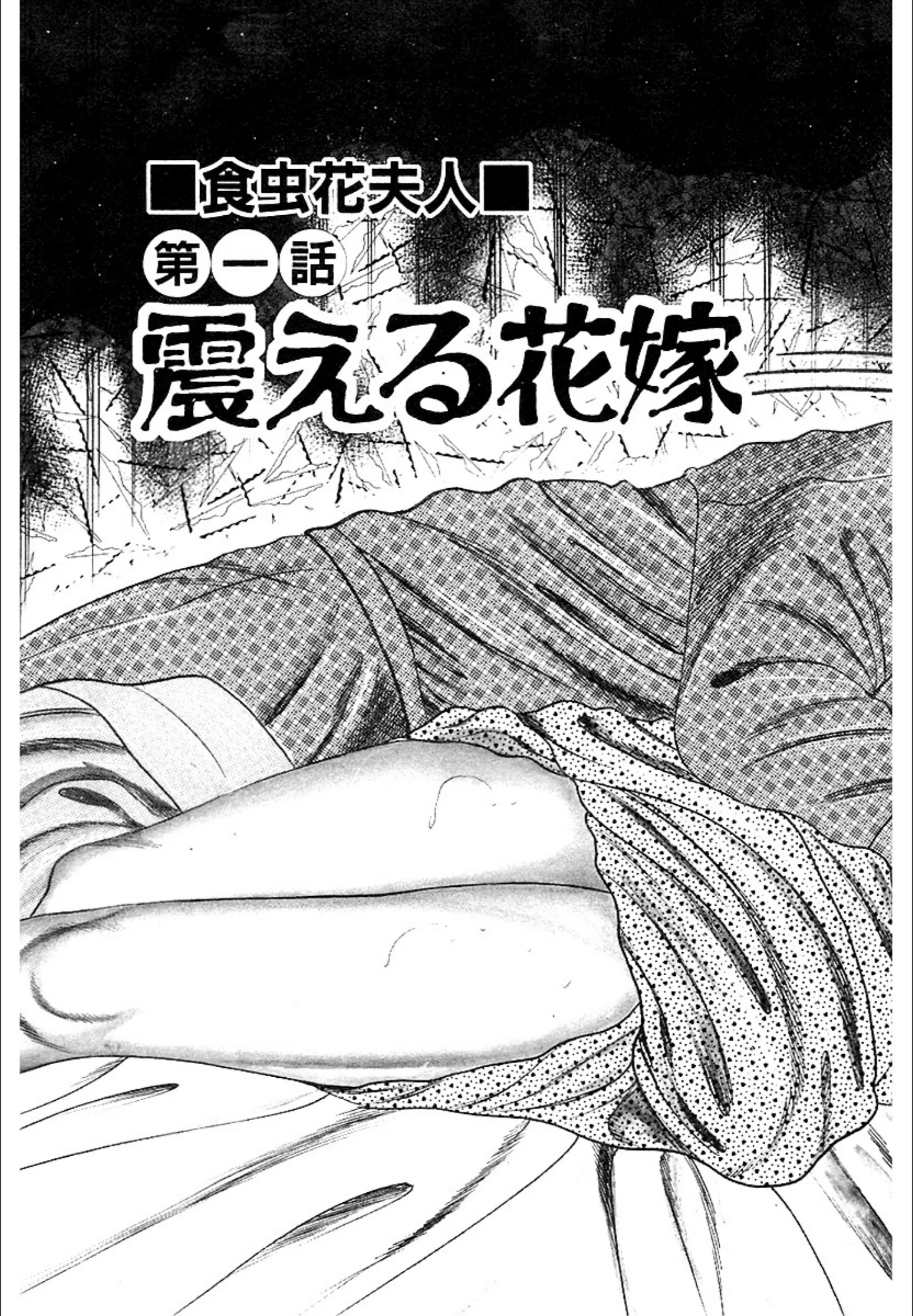 サンプル 5