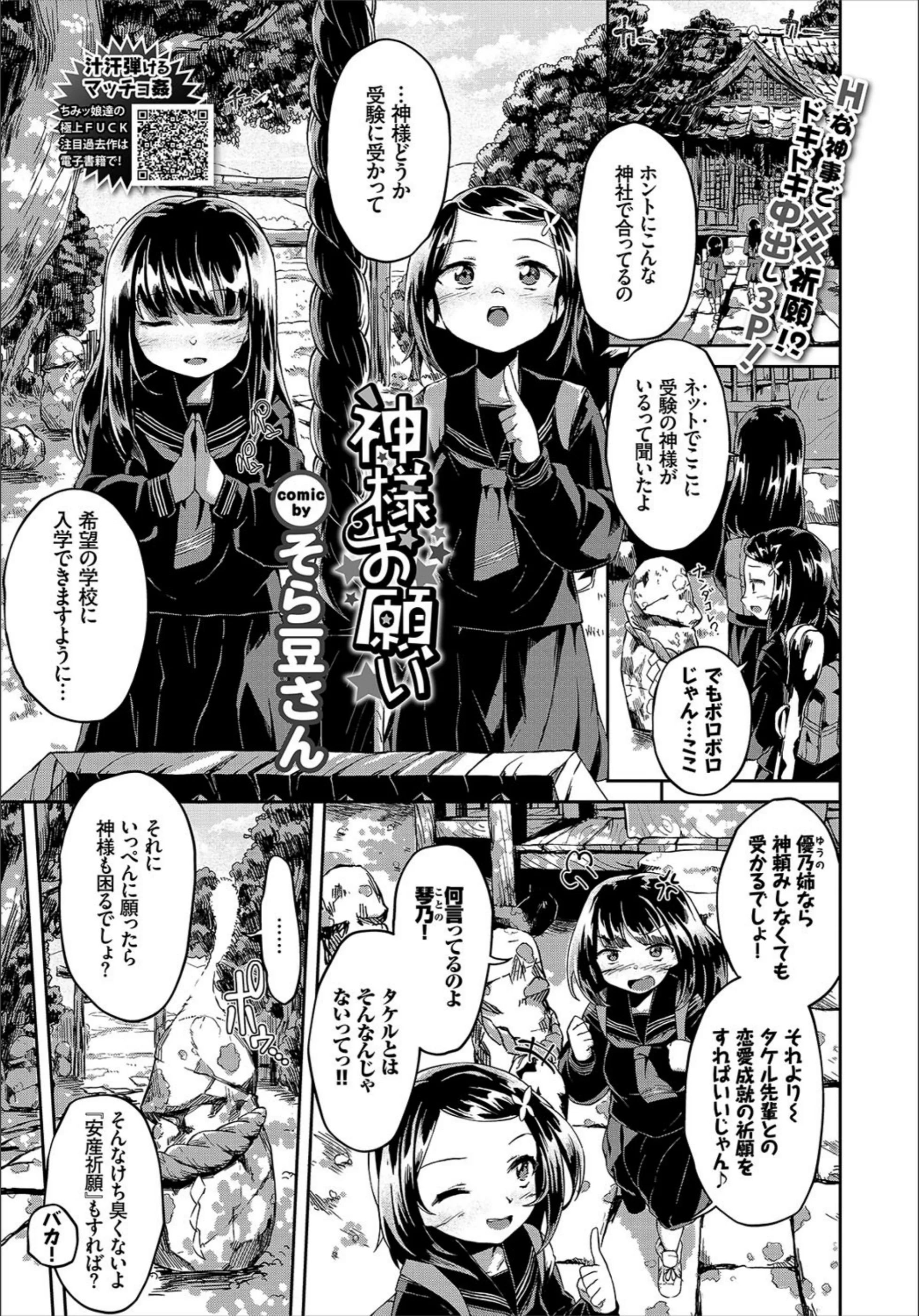 サンプル 12