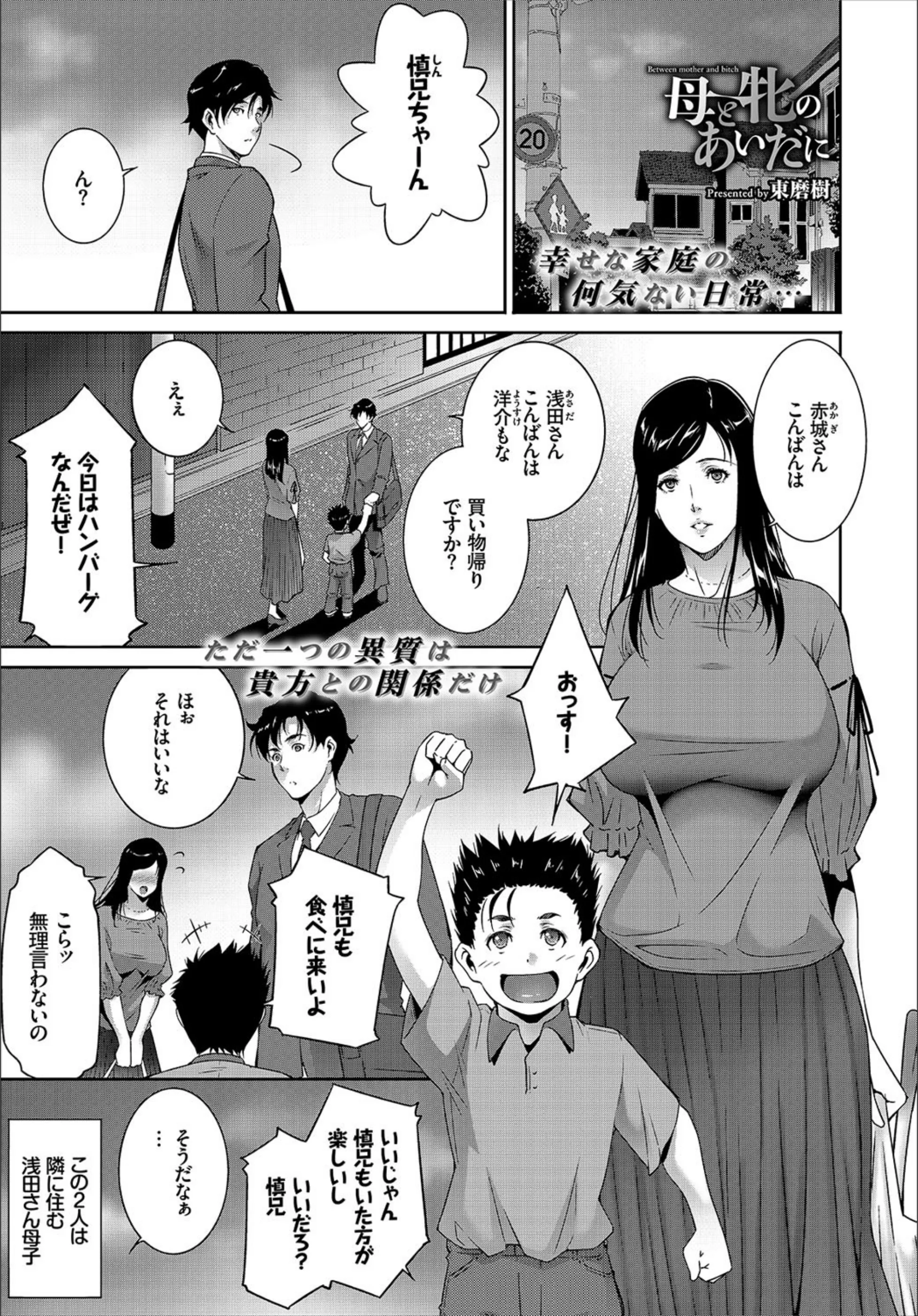 サンプル 17