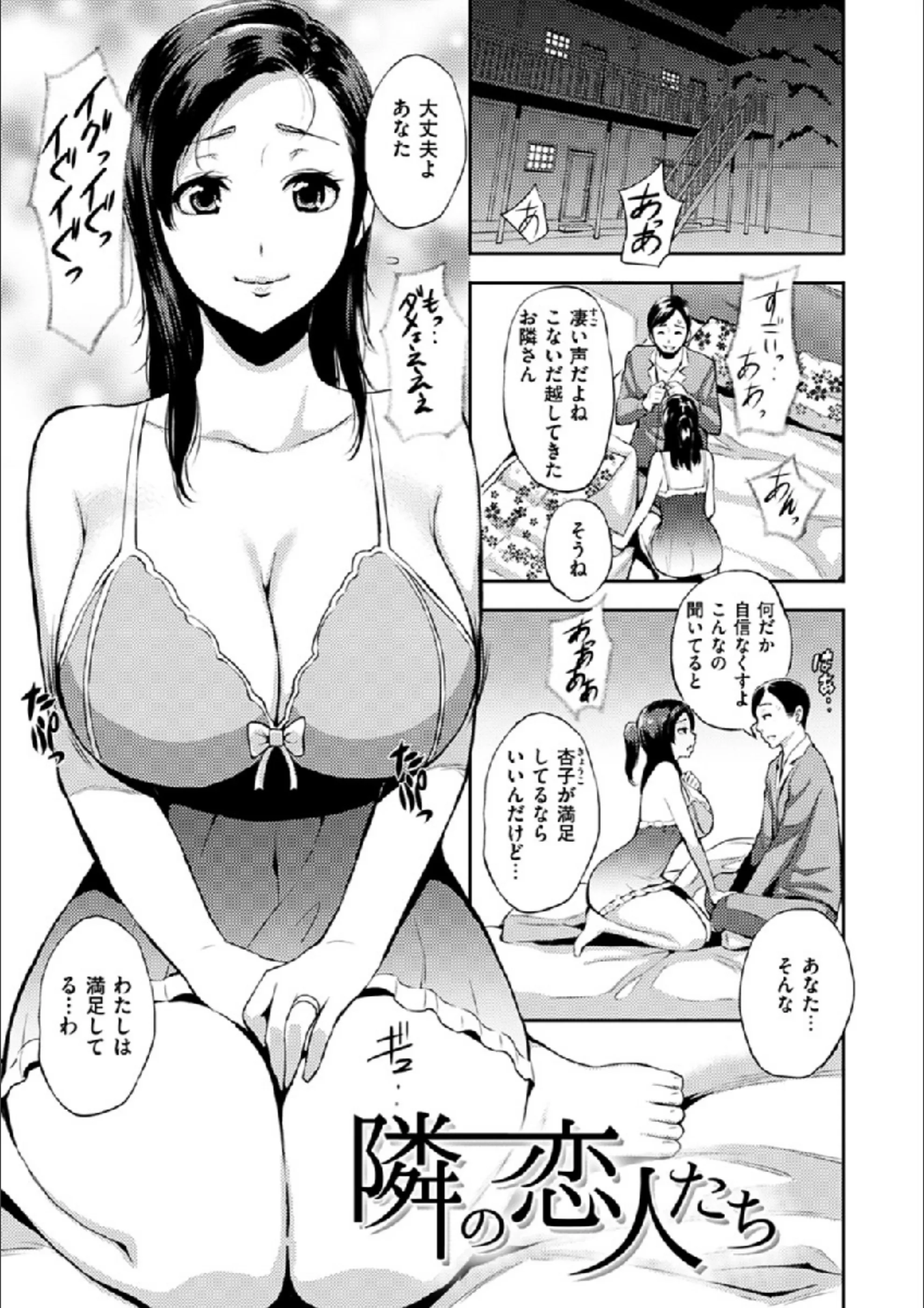 サンプル 17