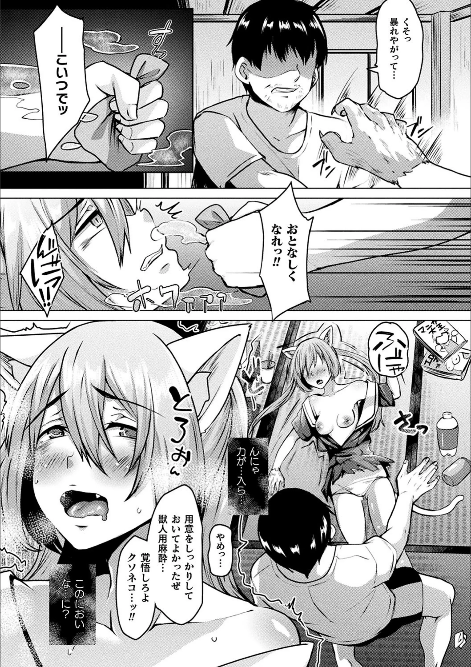サンプル 26